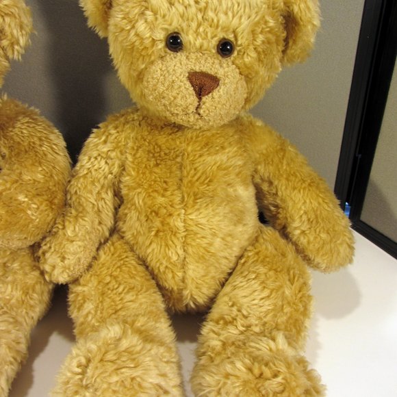 Build-A-Bear Pair of identical or twin bears. Adult owned, nice and clean! - Picture 5 of 8